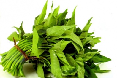 Bài thuốc hay từ rau muống 